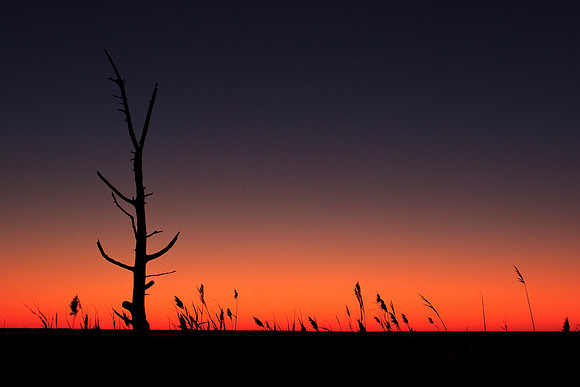 Scenic, Nature & Landscape  Photography, Photography By Exposure