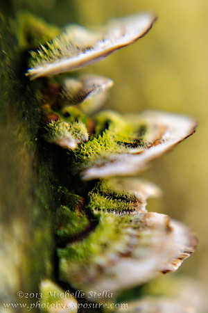 Scenic, Nature & Landscape  Photography, Photography By Exposure