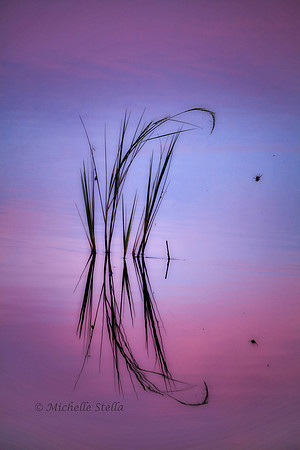 Scenic, Nature & Landscape  Photography, Photography By Exposure