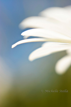 Scenic, Nature & Landscape  Photography, Photography By Exposure